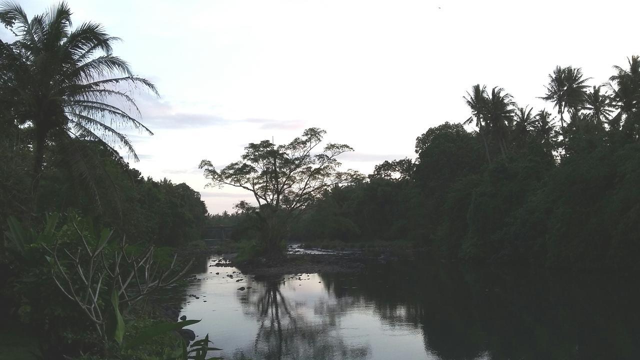 Natural Lodge 2 Selemadeg  ภายนอก รูปภาพ
