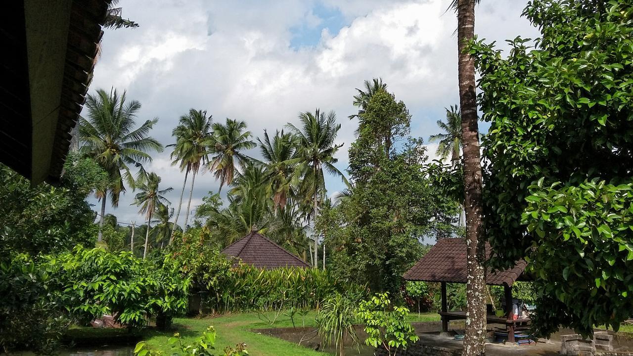 Natural Lodge 2 Selemadeg  ภายนอก รูปภาพ