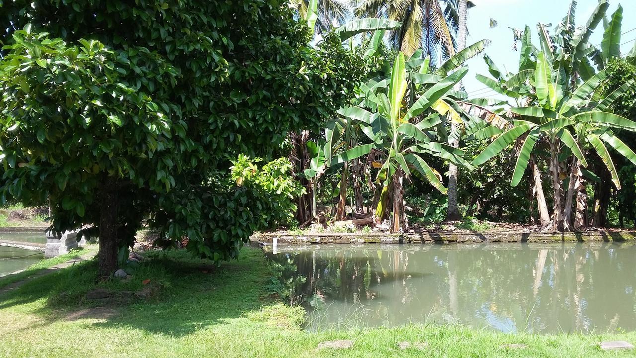 Natural Lodge 2 Selemadeg  ภายนอก รูปภาพ